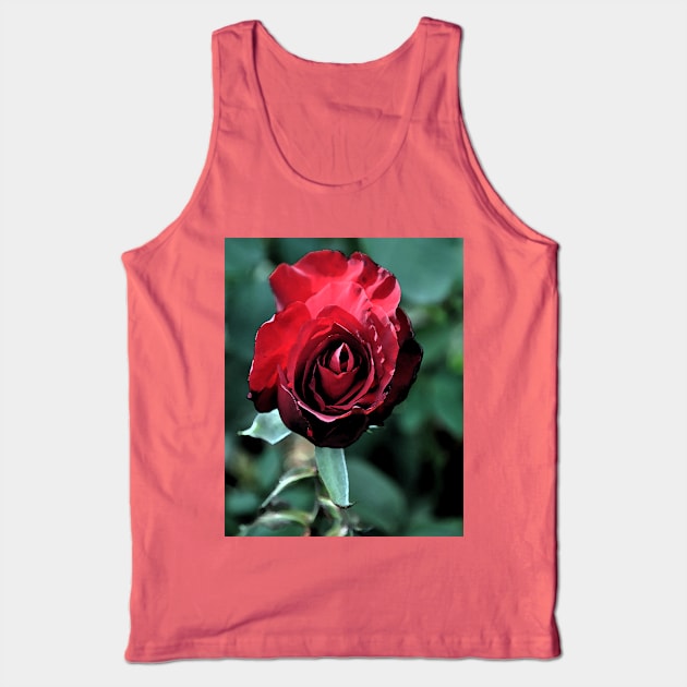 Red Rose Bloom Tank Top by KirtTisdale